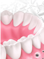 DENTIFRICE FRAIS AUX ALGUES ET À LA MENTHE SANS FLUORURE COOL – Image 3